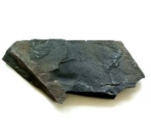 Шунгит плитняк сланец 30-50 мм рваный камень